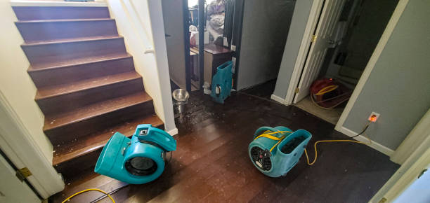 Best Water damage restoration experts  in Monument, CO