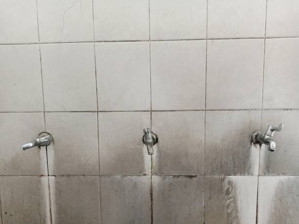 Best Water damage contractors near me  in Monument, CO