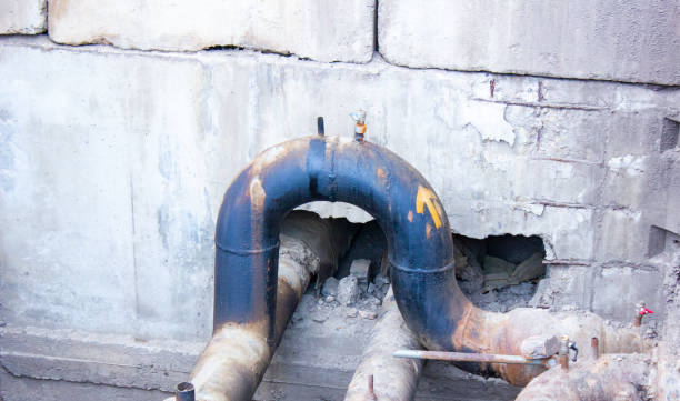 Best Flood damage cleanup  in Monument, CO
