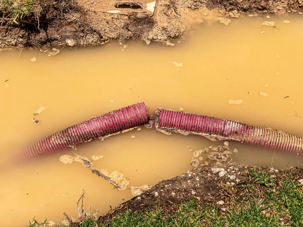 Best Water damage restoration specialists  in Monument, CO