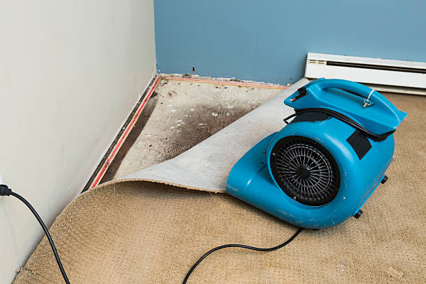 Best Residential water damage restoration  in Monument, CO