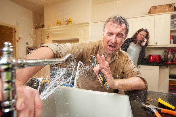 Best Flood restoration services  in Monument, CO